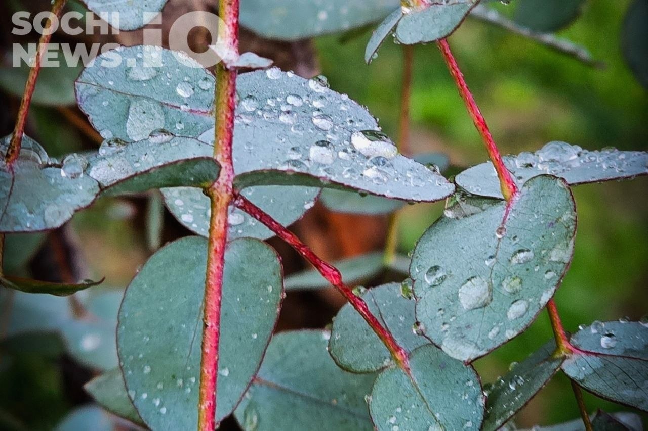 Ухудшение погодных условий ожидается в Сочи 7 сентября